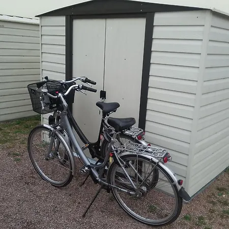 62 Og Niermann Muritz