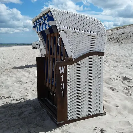 62 Og Niermann *