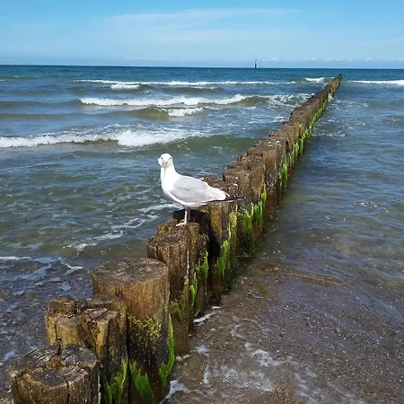 Апартаменты 62 Og Niermann