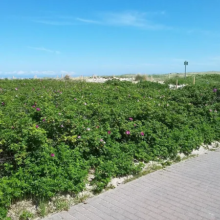 62 Og Niermann Muritz